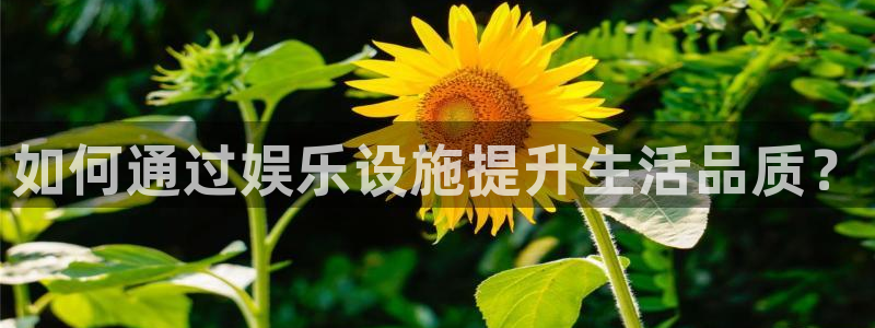 富邦娱乐：如何通过娱乐设施提升生活品质？