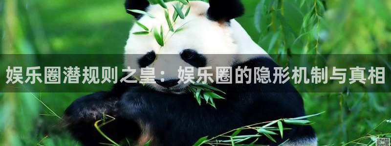 富邦娱乐：娱乐圈潜规则之皇：娱乐圈的隐形机制与真相